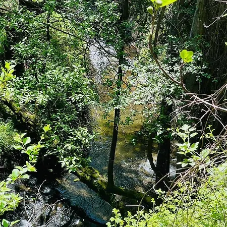 Riverside Διαμέρισμα Καλοπαναγιώτης