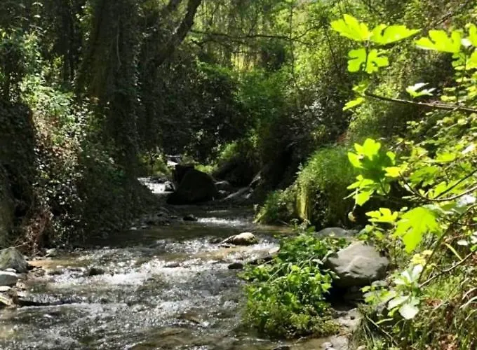 Διαμέρισμα Riverside Καλοπαναγιώτης
