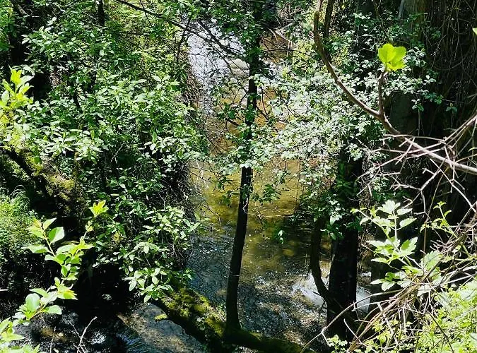 Riverside Apartmán Kalopanagiotis